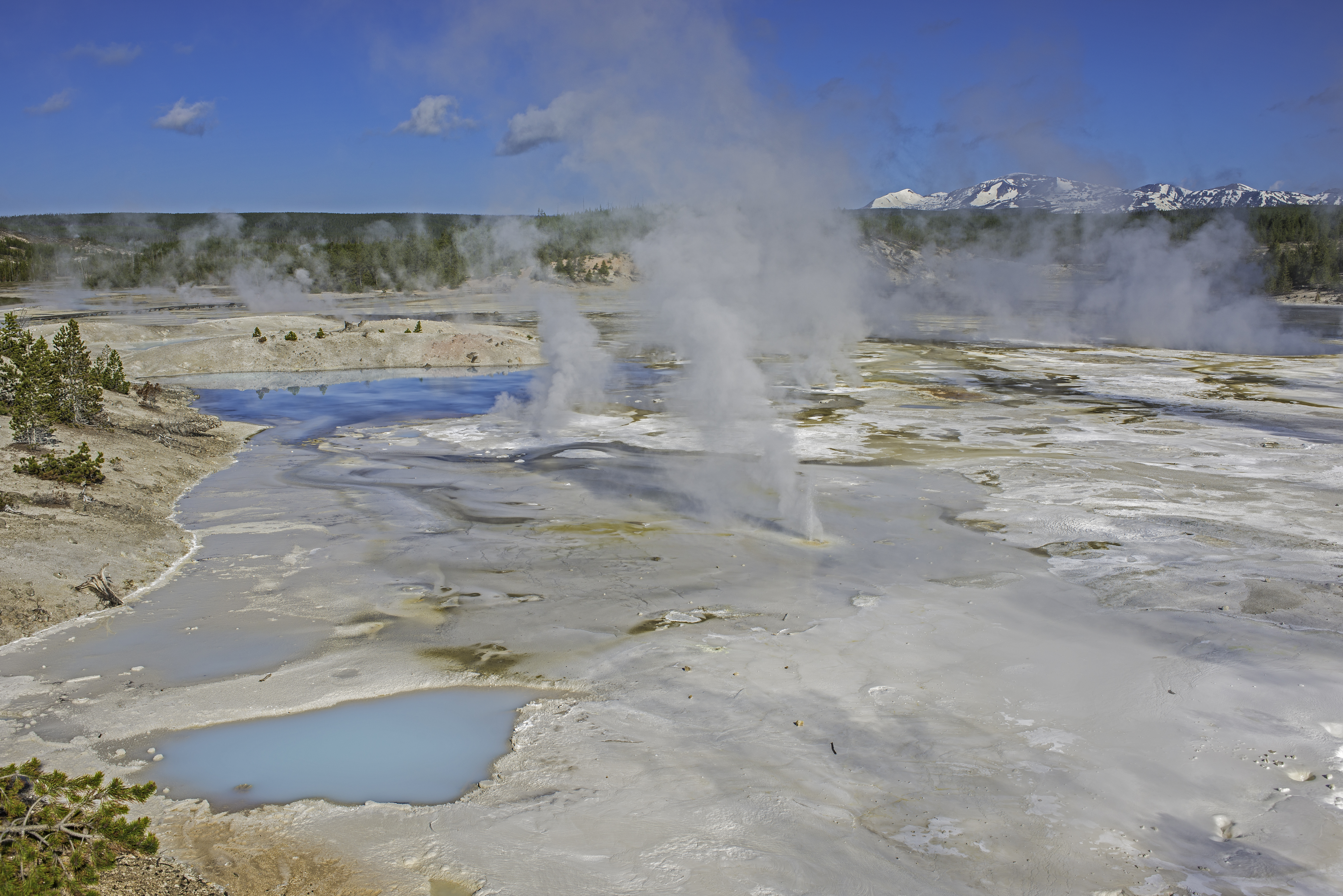 Porcelain Springs area of Norris Geyser Basin a very active thermal area in Yellowstone National Park, Wyoming.