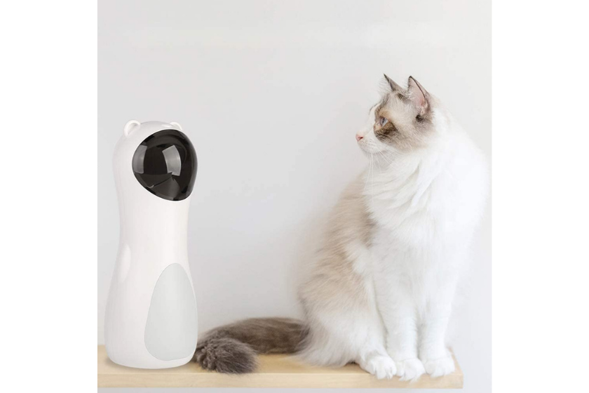 best cat toys for bored cats