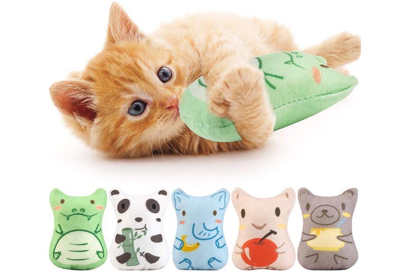 best cat toys for bored cats