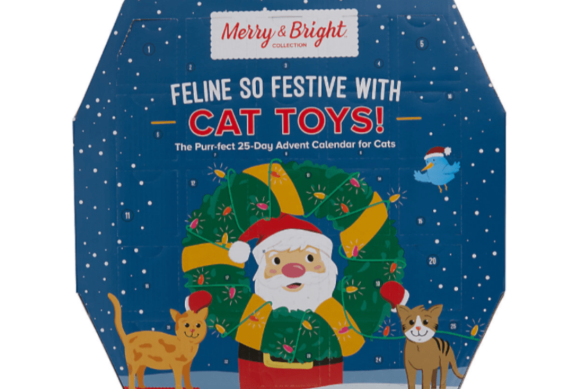 Cat Toy Advent Calendar