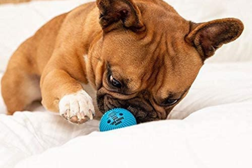 interactive dog toys