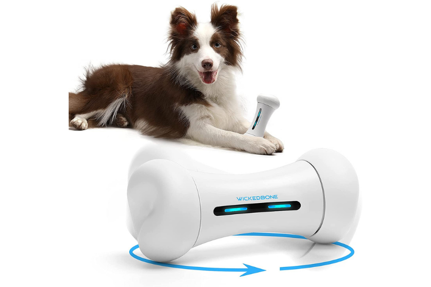 interactive dog toys