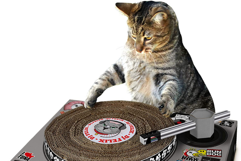 best cat scratchers