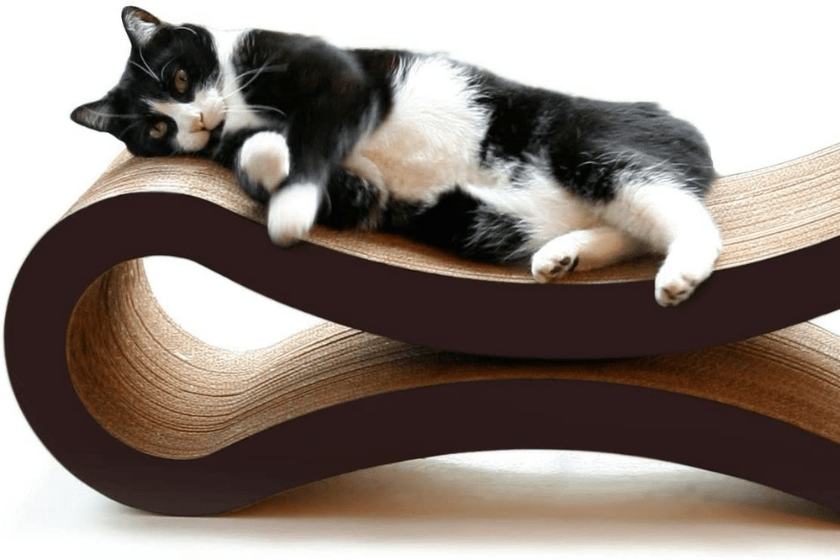 best cat scratchers