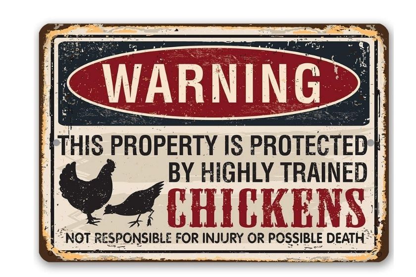 Funny Protected by Chickens Sign