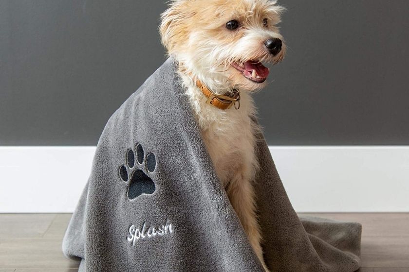dog christmas gifts