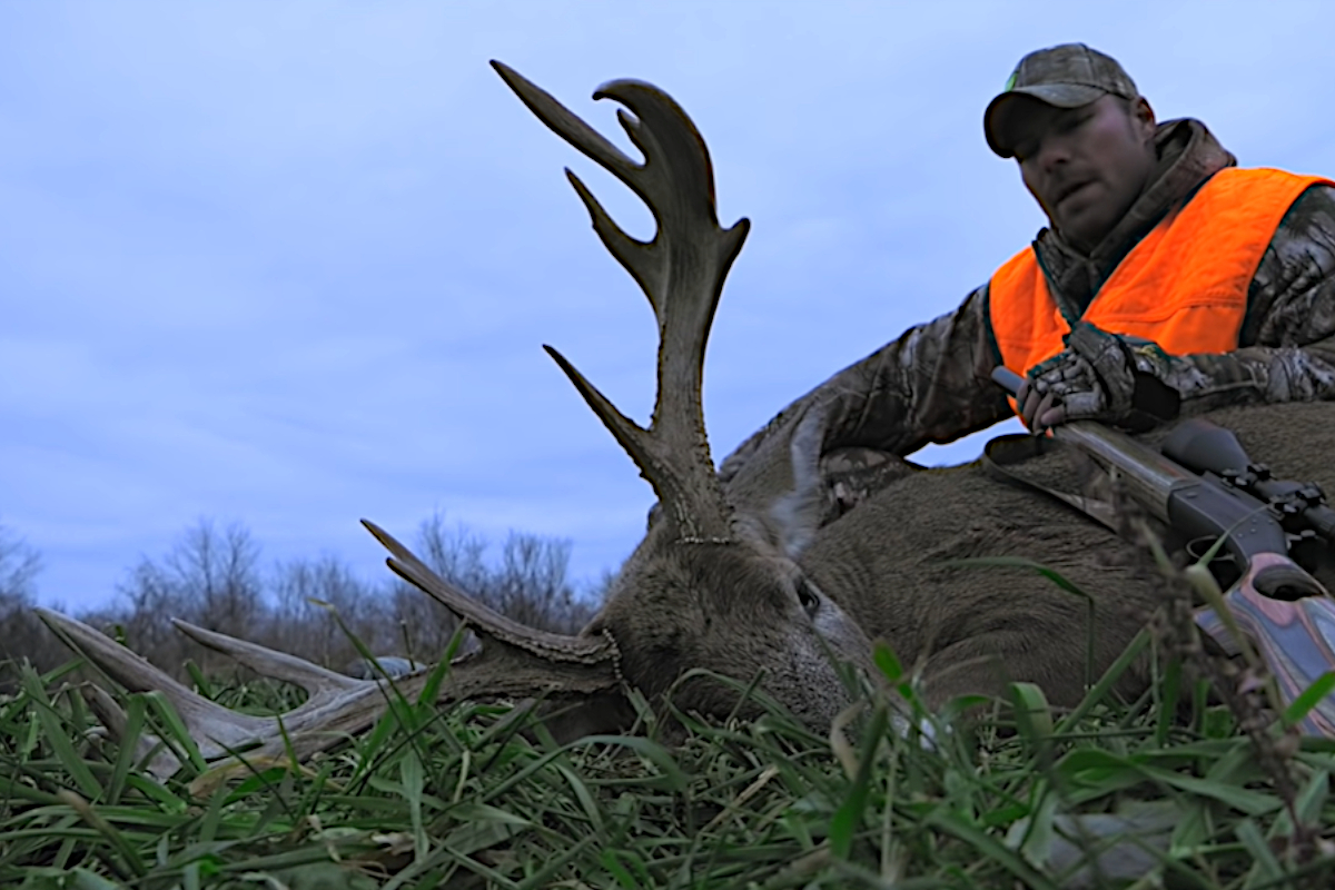 Old Buck