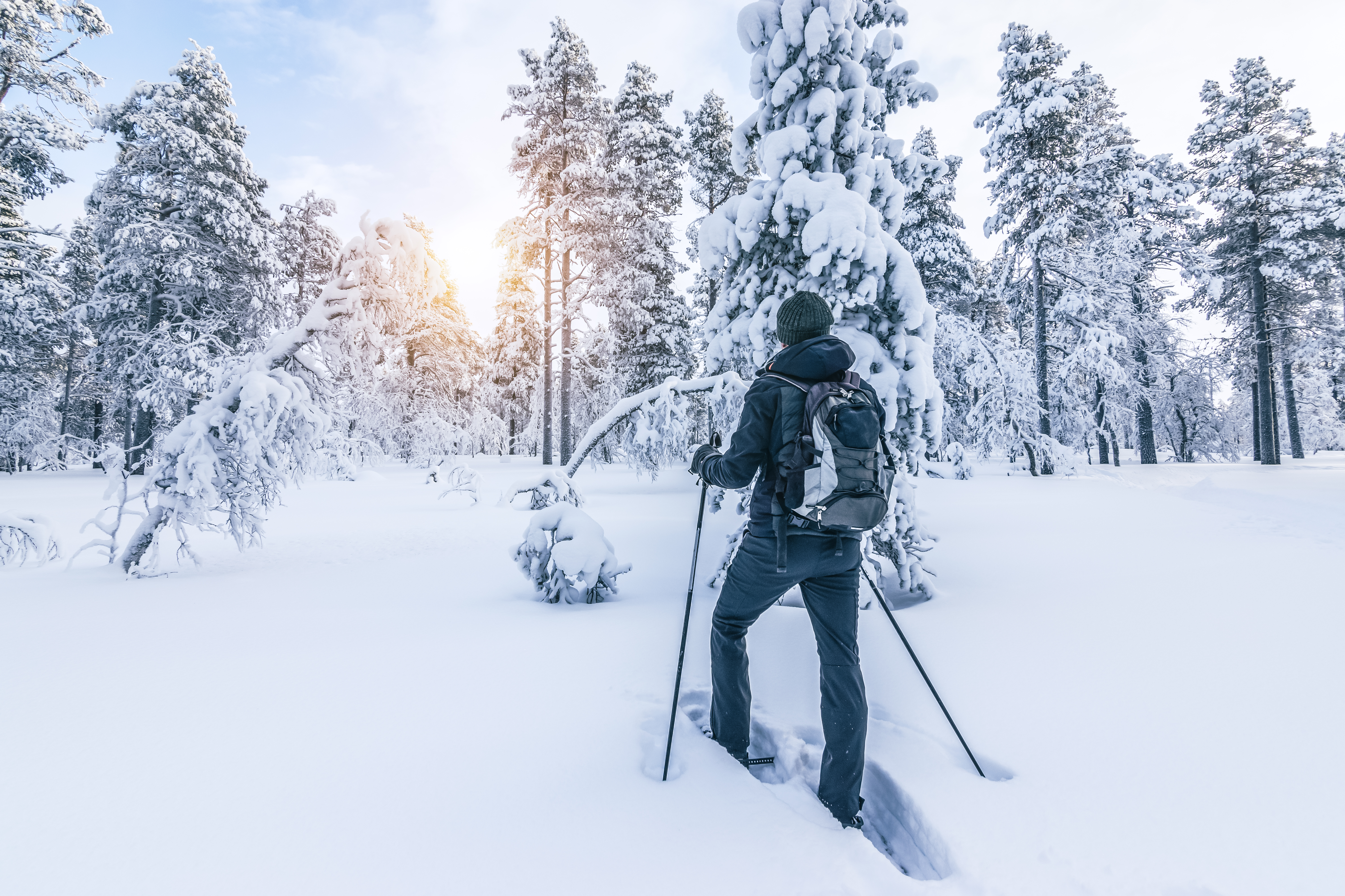 snowshoer