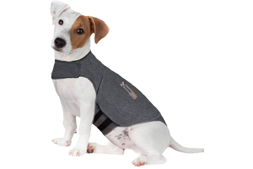 calming aids for pets