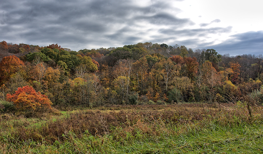 Woodbury Wildlife Area, Coshocton County.