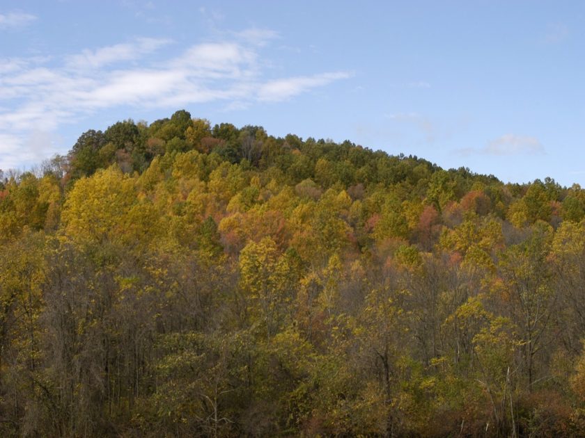 Dillon Wildlife Area, Muskingum County.