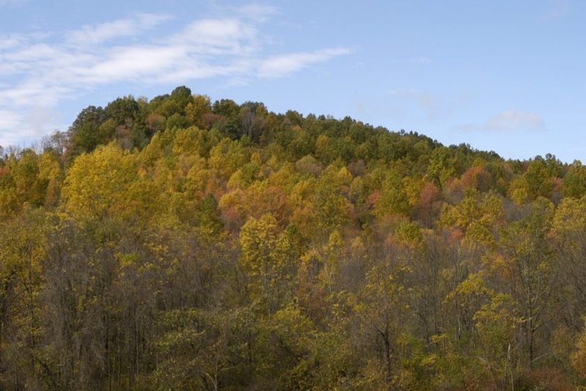 Dillon Wildlife Area, Muskingum County.