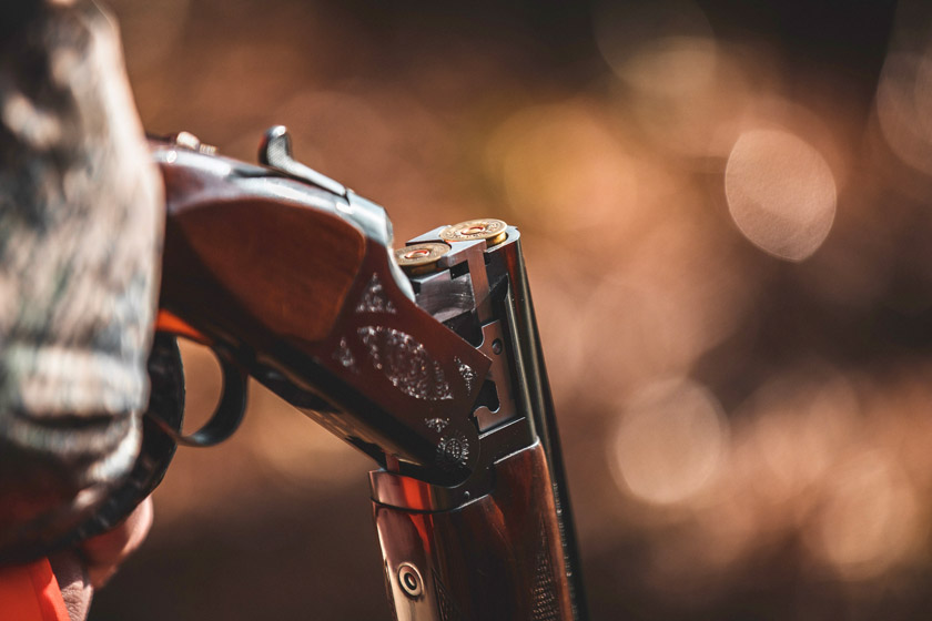 quail hunting