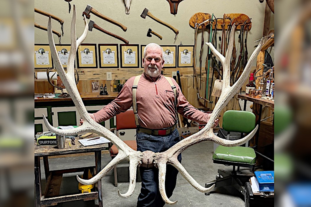 Record Bull Elk