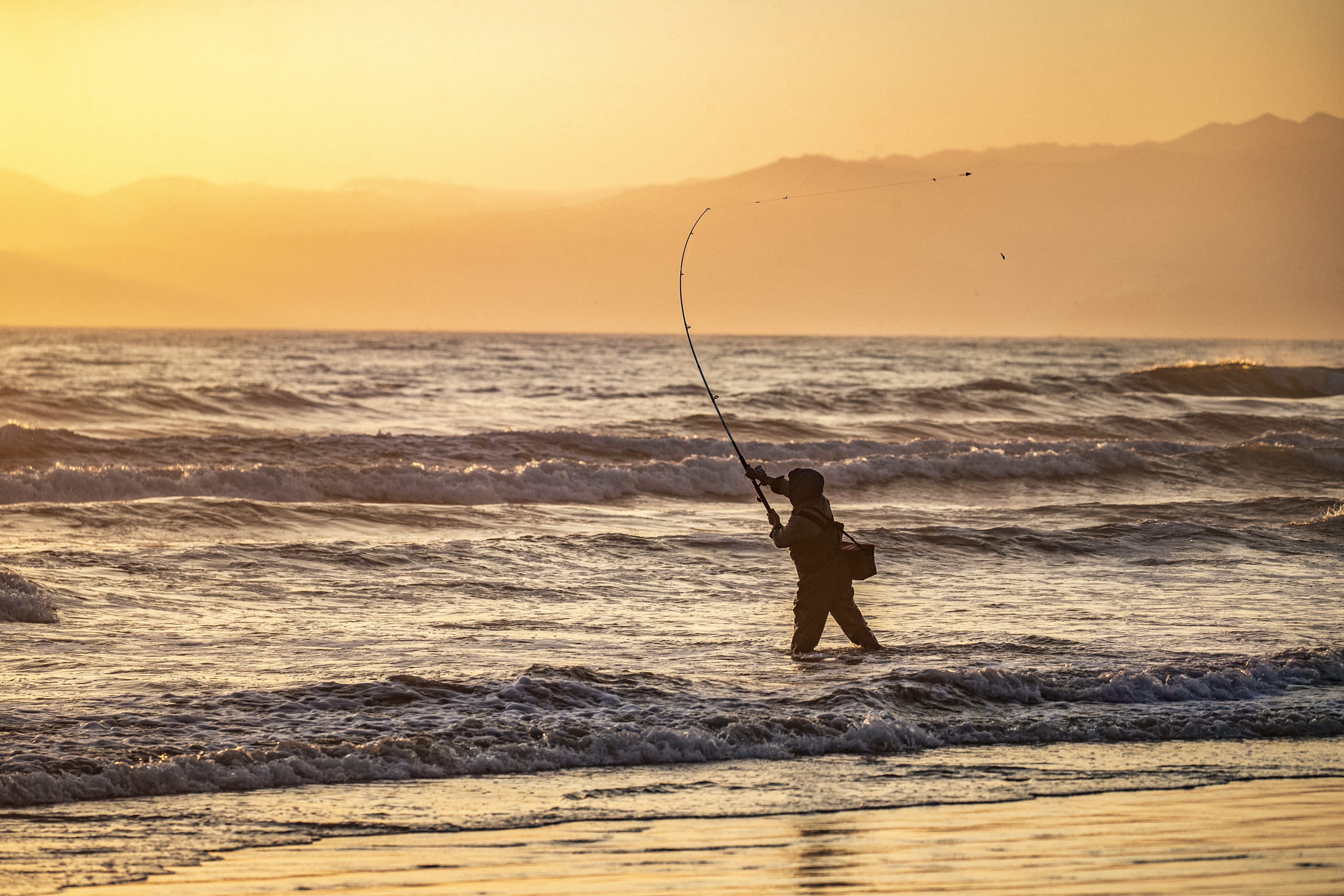California surf fishing.