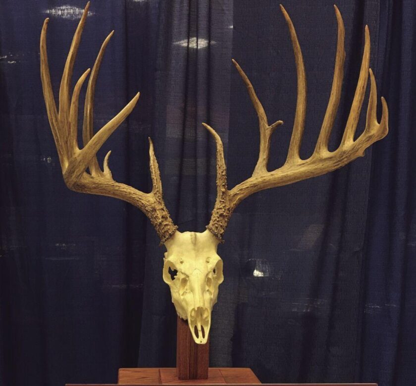 PA Game Commission Buck Rack