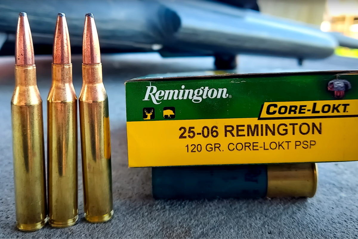 25-06 Remington