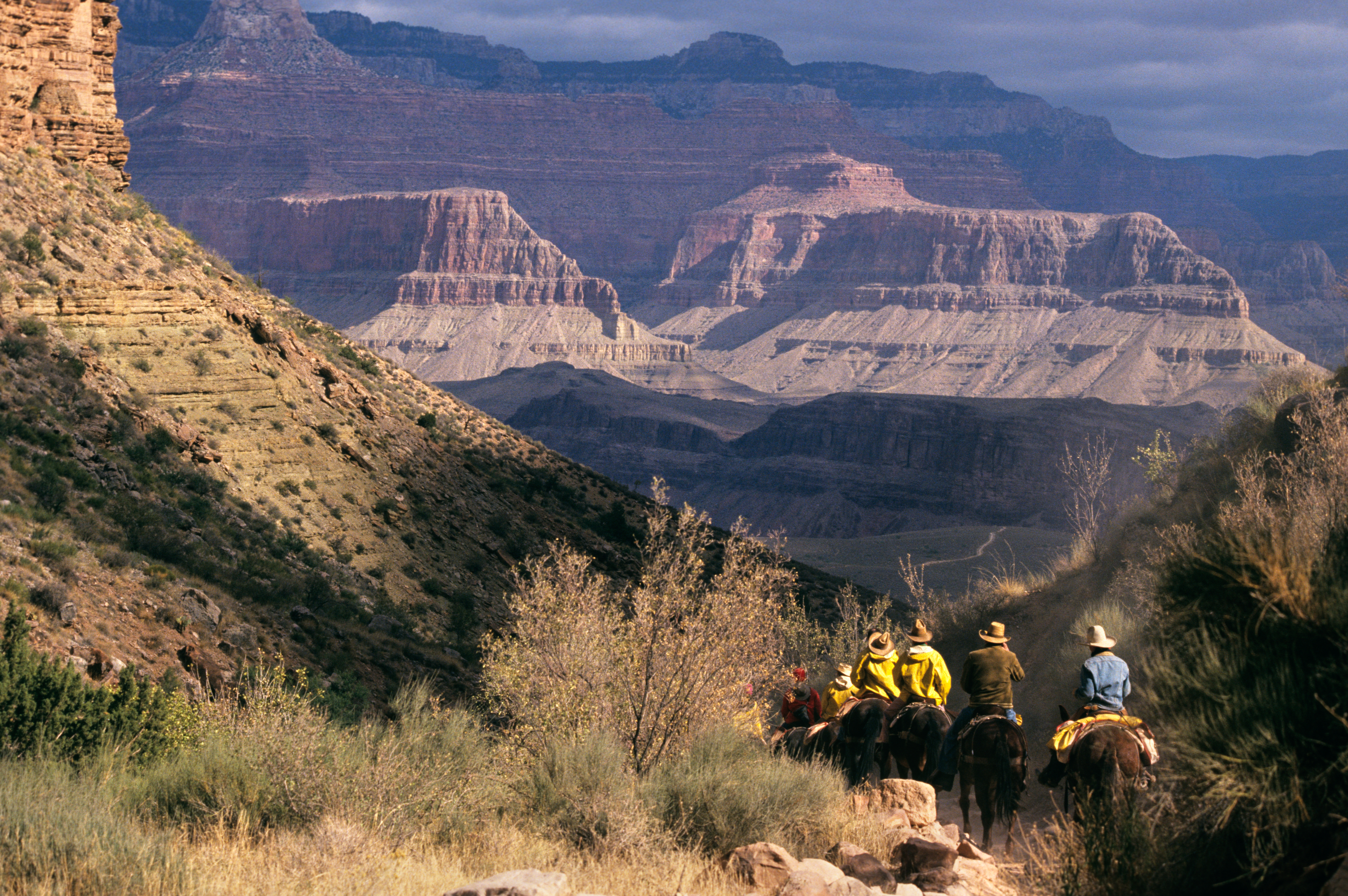 1990s Anonymous People Mule Riders Going Down Bright Angel Trail Grand Canyon National Park Arizona USA. (Photo by B. Von Hoffmann/ClassicStock/Getty Images)