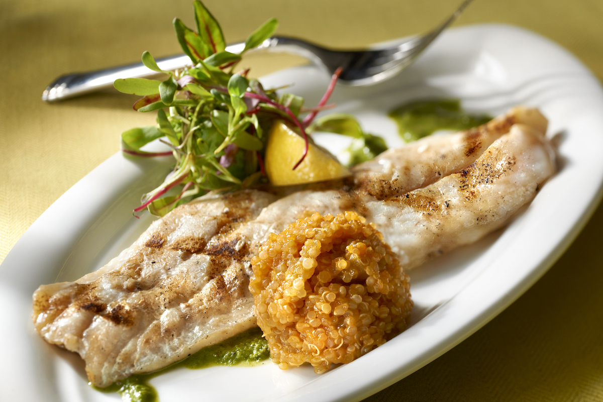 Grilled snapper fillet with Quinoa and a garnish of baby greens or Mache and a pesto sauce.Shot with a Nikon D3X with a shift lens to get very minimal DOF. Narrow focus plane from grain to some areas of fish.My Food Lightboxes redfish recipes