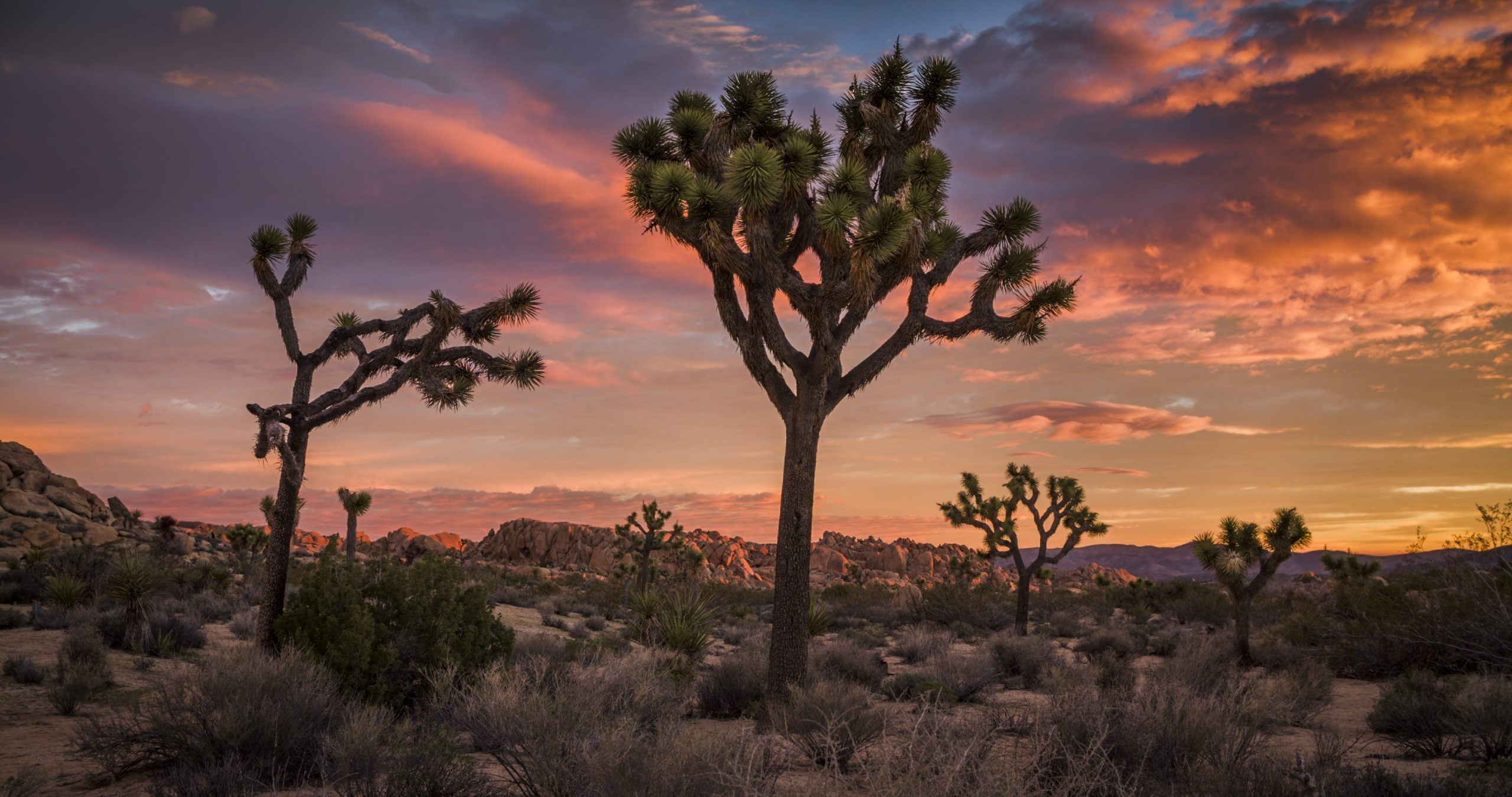 Free Camping Sites In California