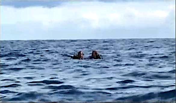 Aquatic Horror Movies