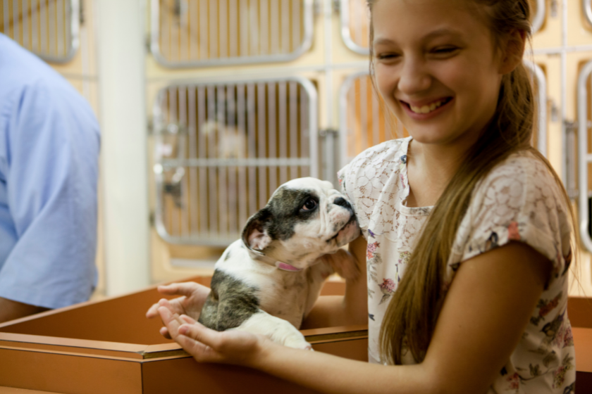 puppy meets girl at a shelter