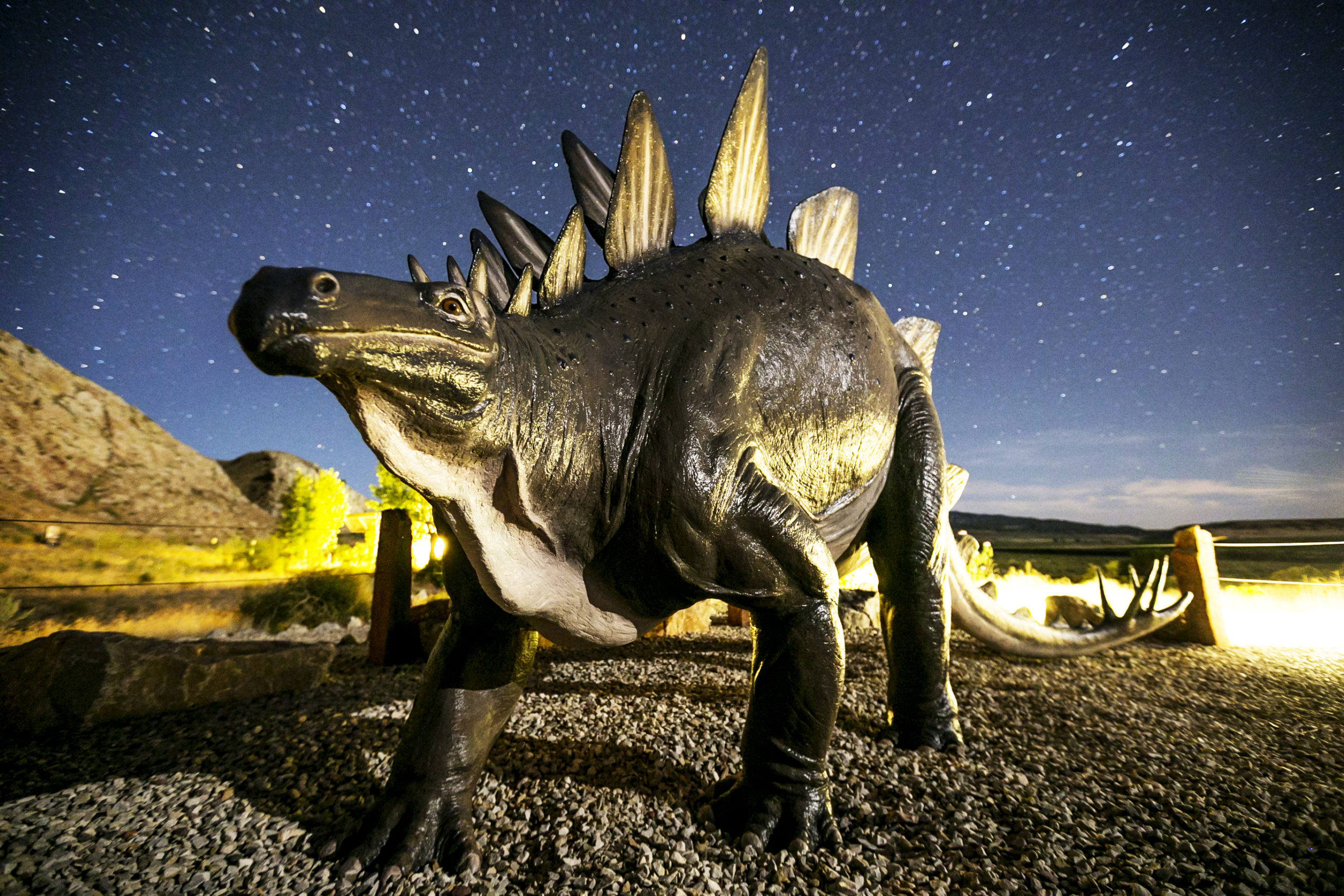 Dinosaur_National_Monument,_Stegosaurus. Best parks for stargazing
