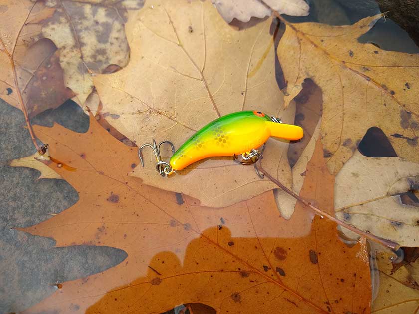 Cotton Cordell Big O trout lure floating in a leafy stream.