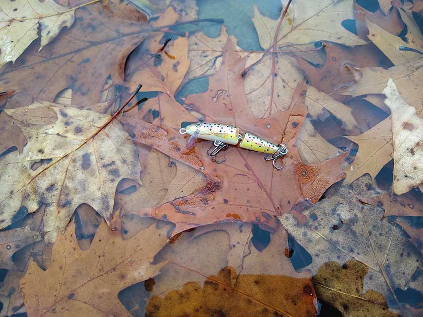 The Rapala Jointed Minnow excels as a trout lure. 