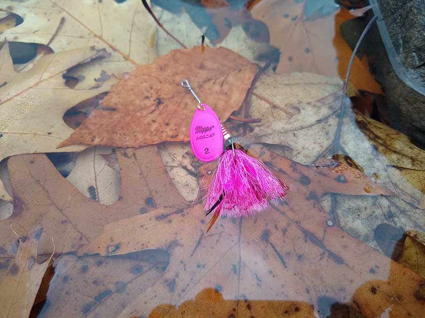 The Mepps Agila Dressed Spinnerbait floating in leaf-filled water. 