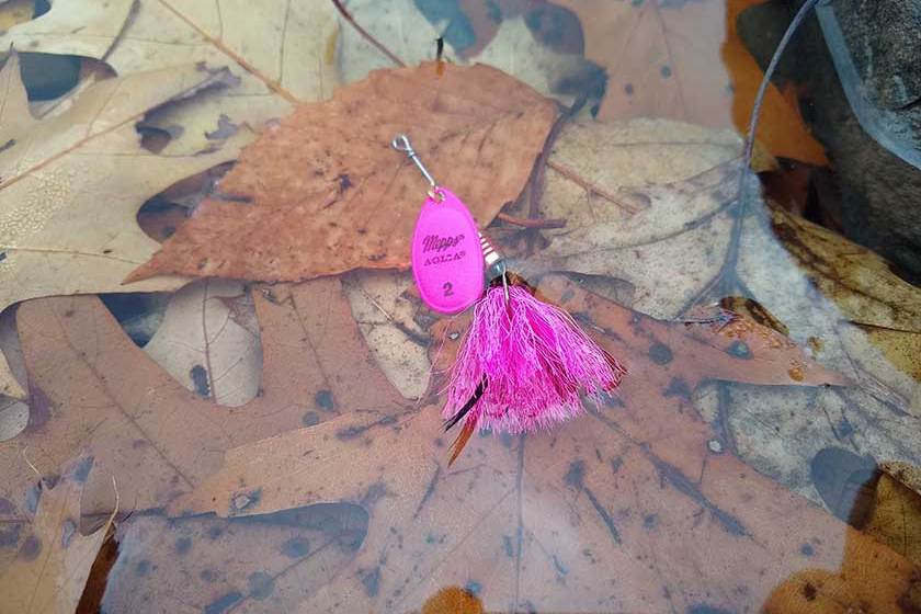 The Mepps Agila Dressed Spinnerbait floating in leaf-filled water.
