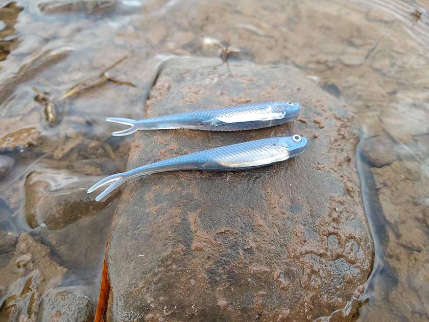 QualyQualy Soft Plastic Swimbait resting on a rock in a stream.