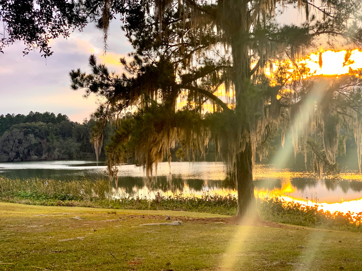 Bienville Plantation