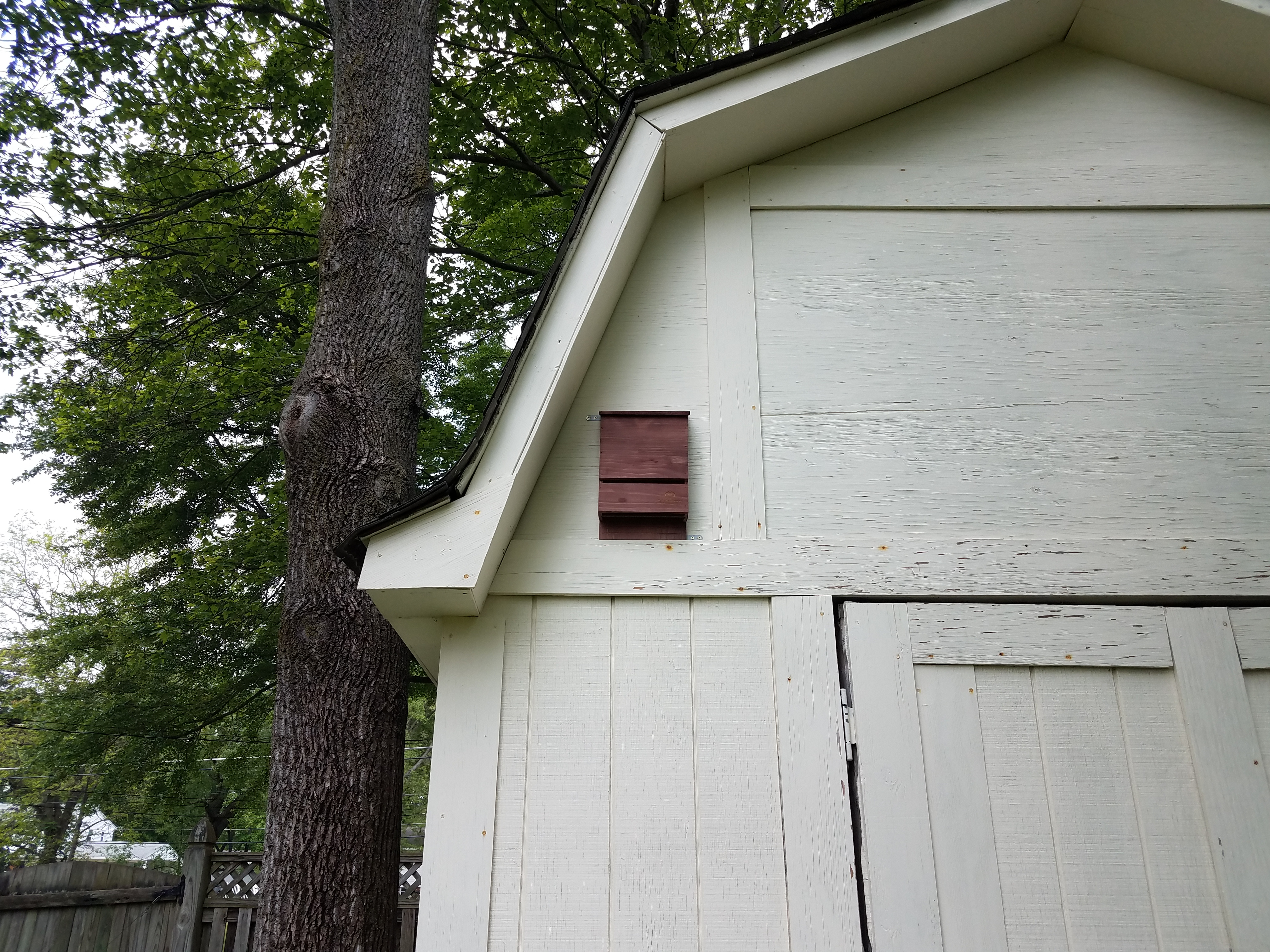 wooden brown bat box on white storage shed.