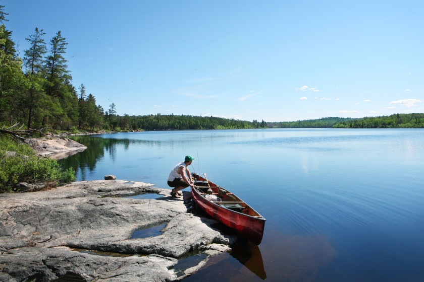 superior national forest