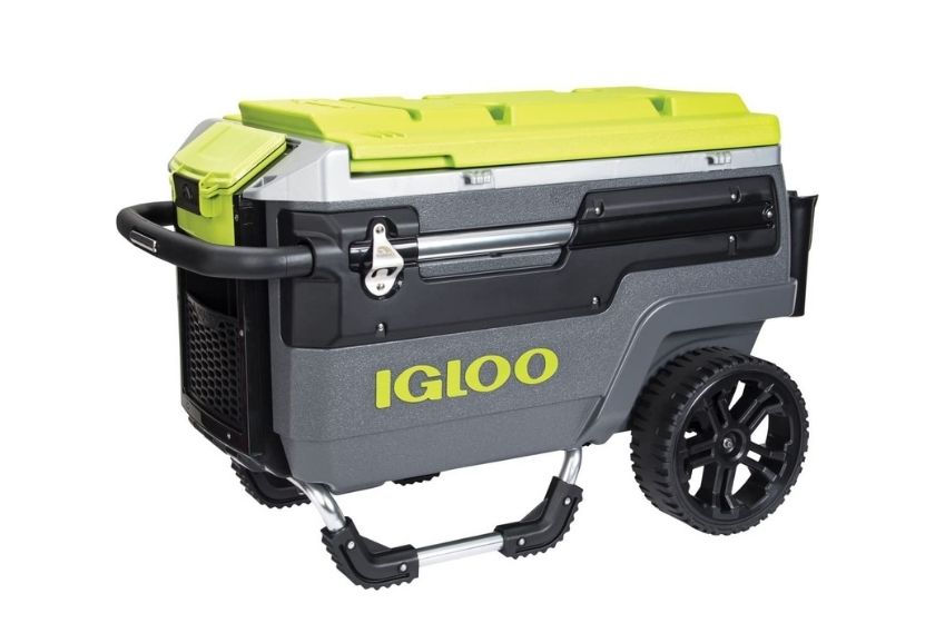 best cooler for beach