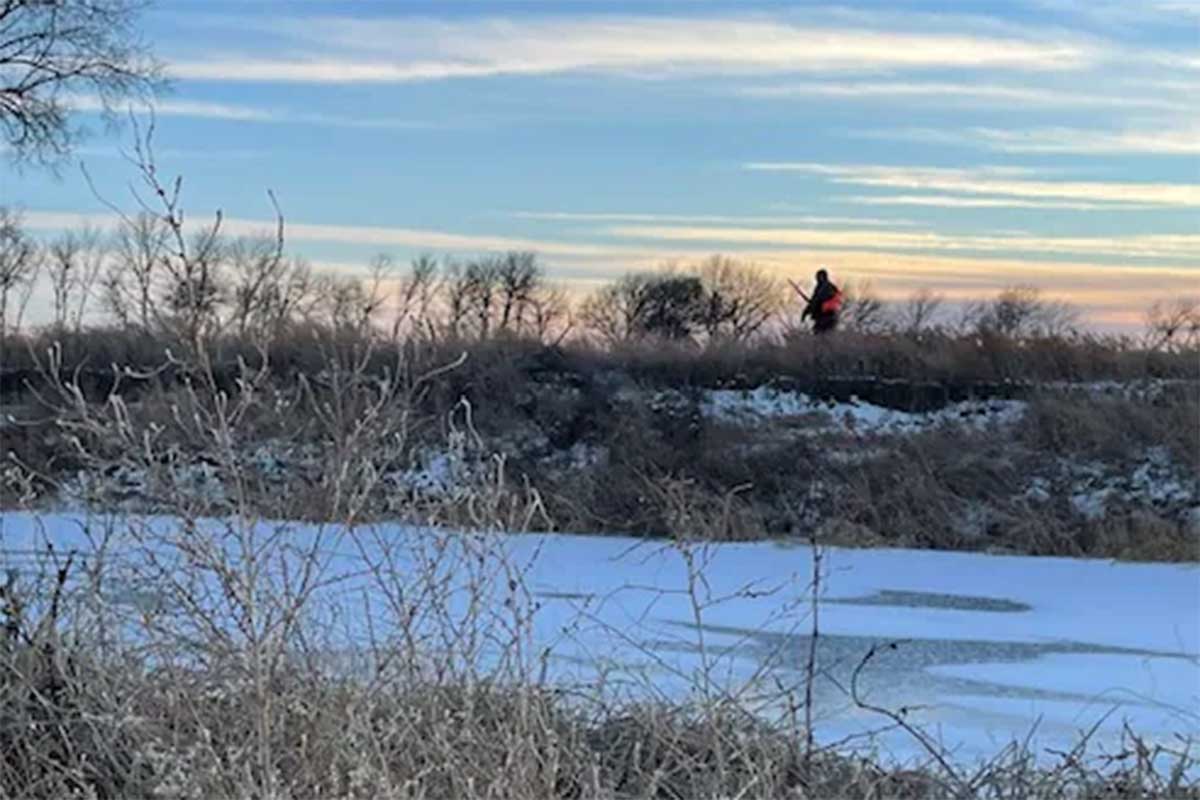 January Pheasant Hunting