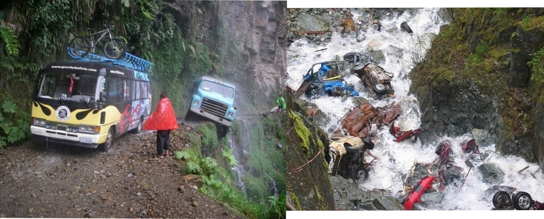 Dangerous Wild Places