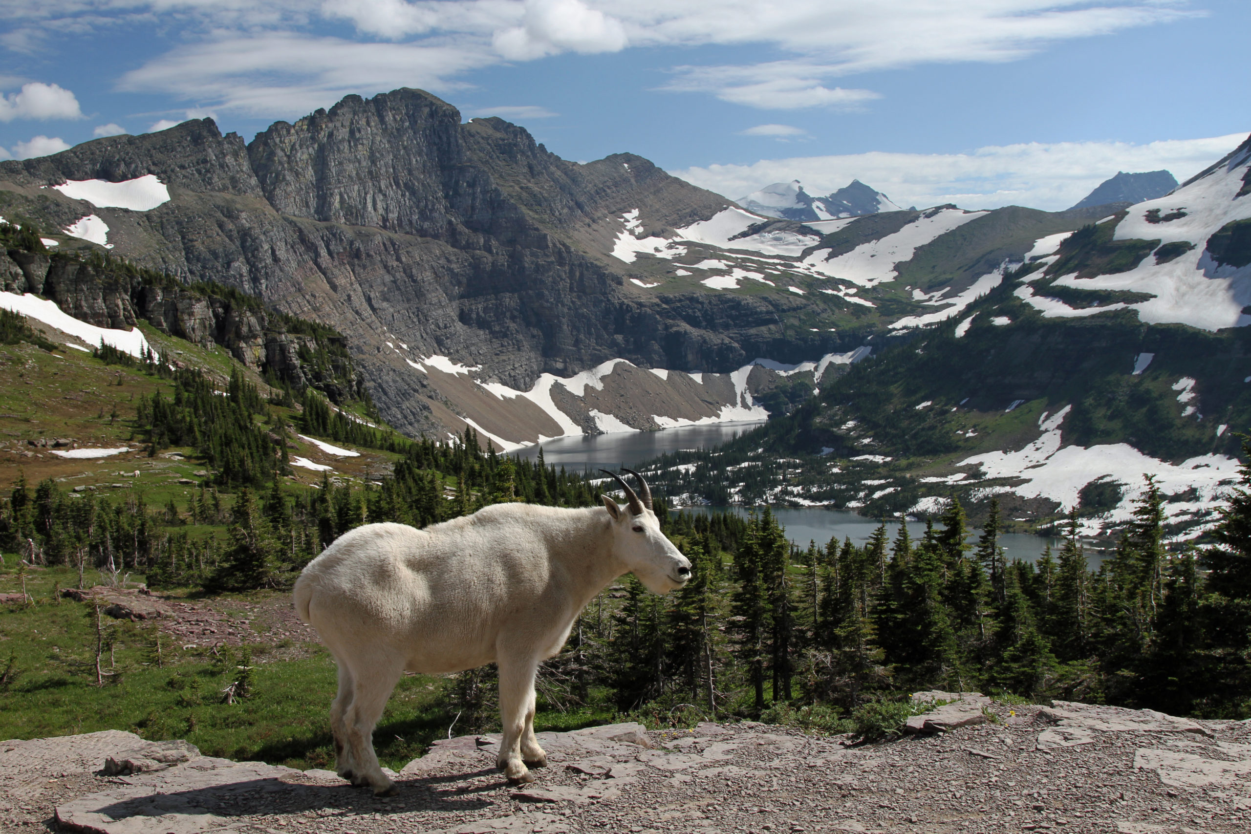 Quietest Wilderness Places in America