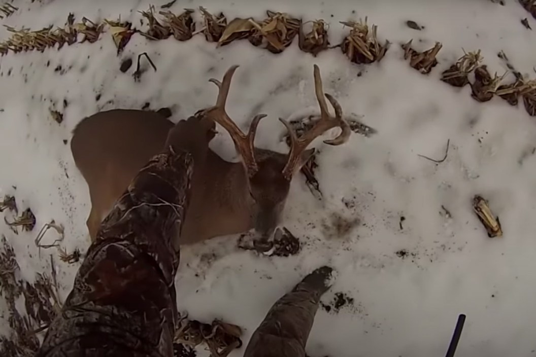 running deer