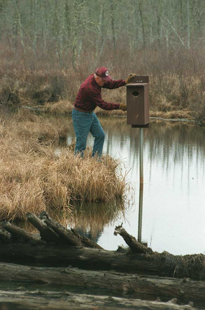 Wood Duck Box