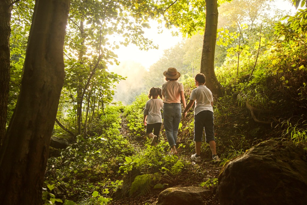 kid walking through the woods