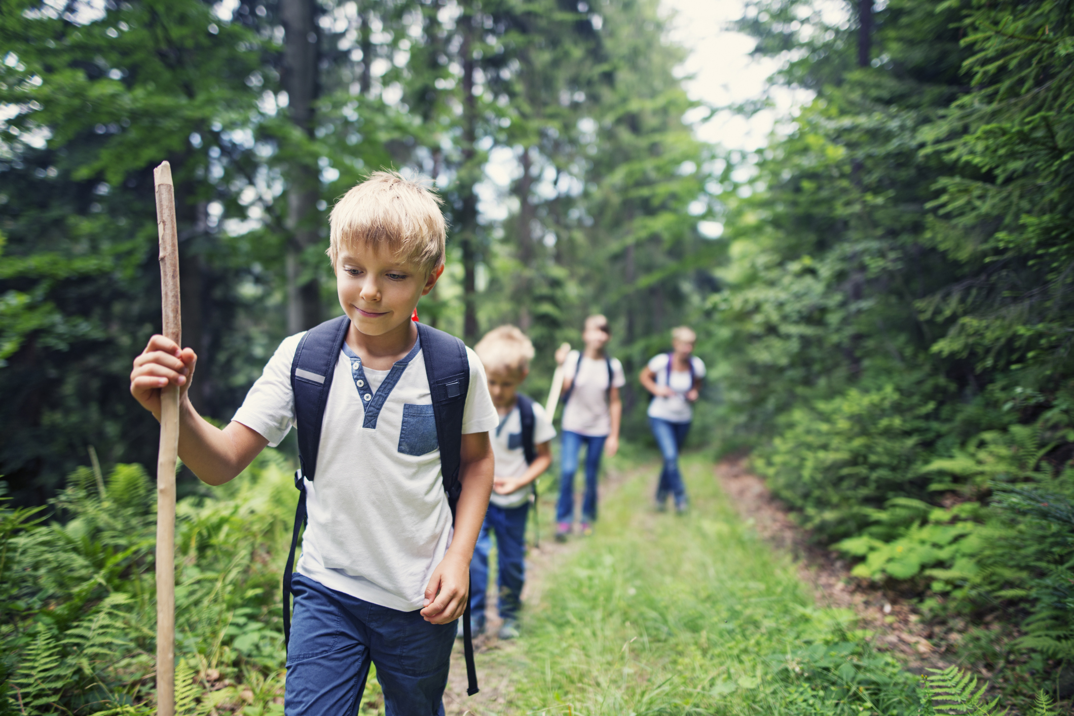 Little boy and his family through a dense forest. Kids are aged 6 and 10.