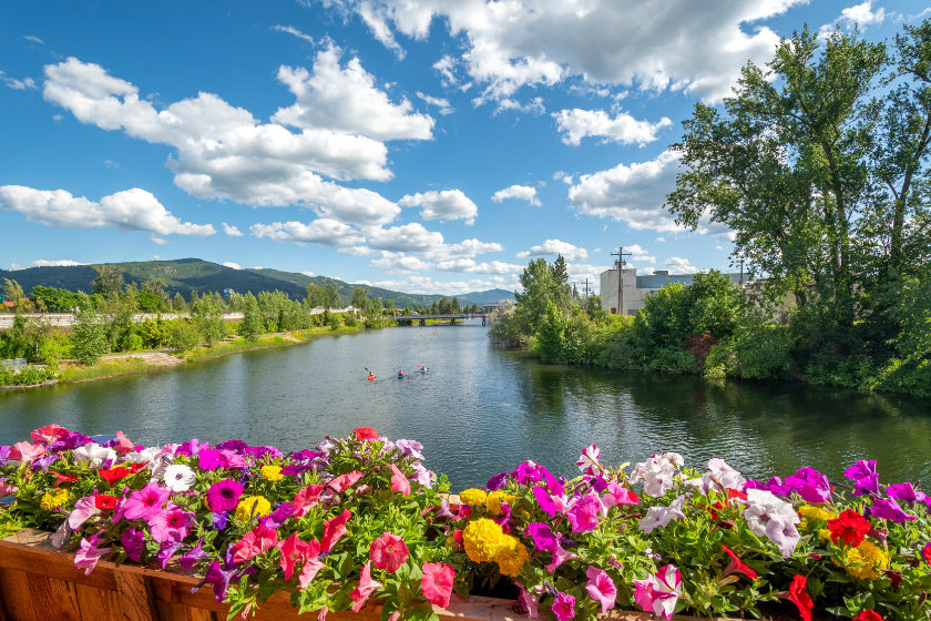 Three kayakers navigate down a huge blue river with mountains and trees in background. Wildflowers in foreground