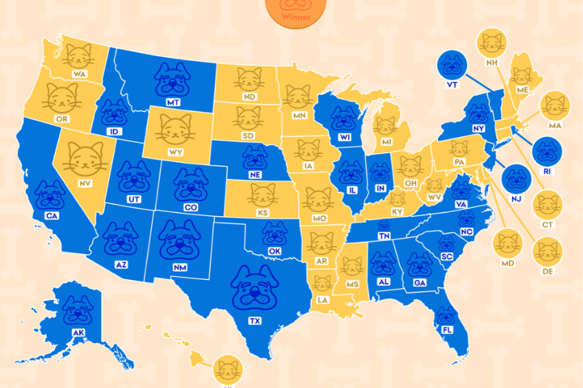 US showing cat and dog states