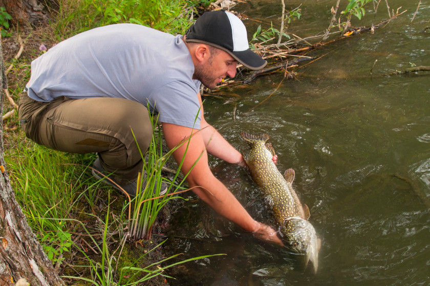 Catch and Release Fishing
