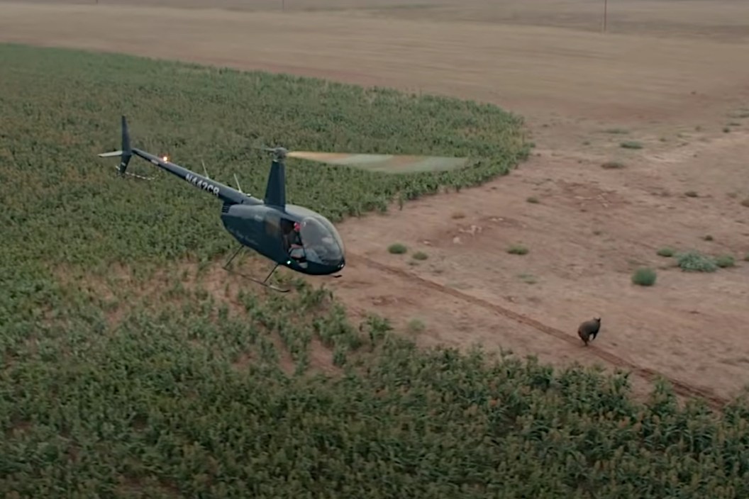 Helicopter Hog Hunting