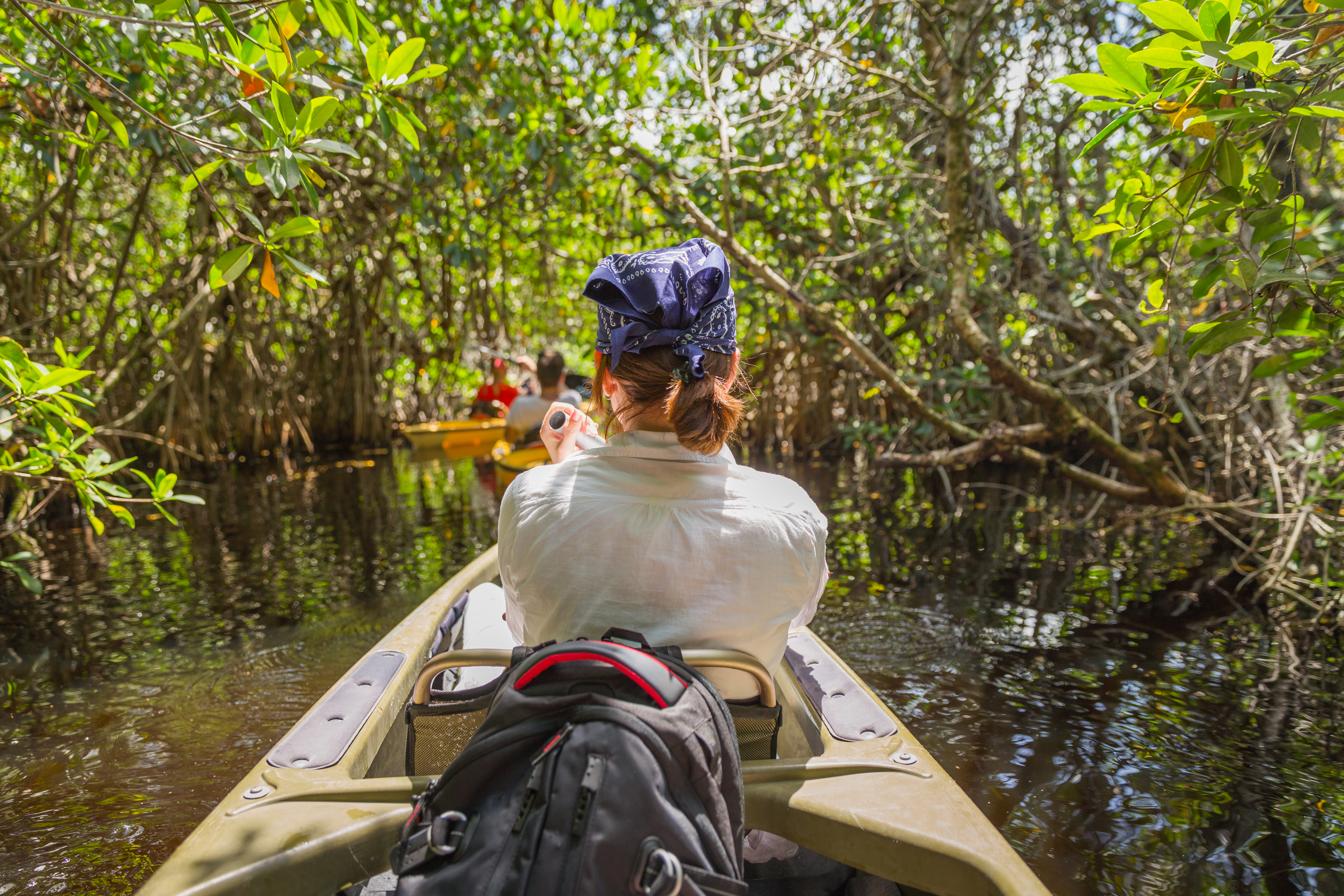 Tourist kayaking in mangrove forest in Everglades, Florida, USA