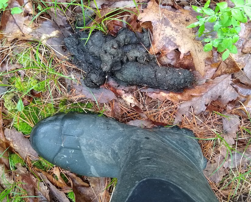 I live where I hunt