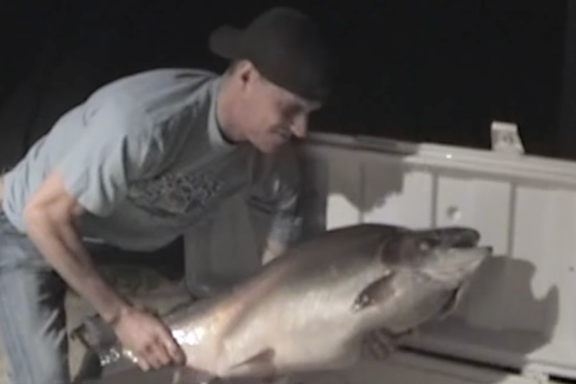 World Record Rainbow Trout